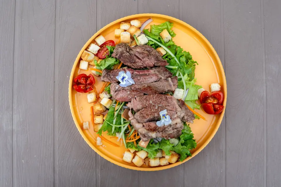 Garden Steak salad seen from above